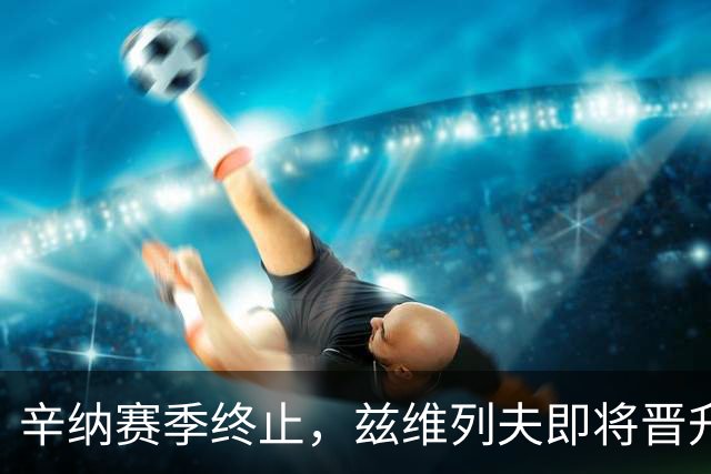 辛纳赛季终止，兹维列夫即将晋升世界第一！